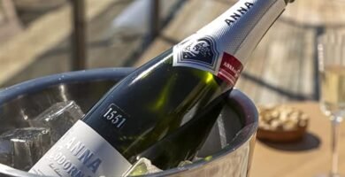 Botella de Cava Anna de Codorníu Brut Nature en oferta